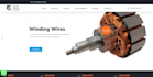 do proffessional website in 4 days