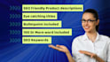 write SEO friendly shopify product descriptions