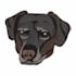 embroidery digitizing into dst,pes,jef in 1 hour