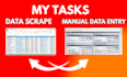 do data entry and copy paste job