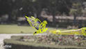 do vfx rotoscoping, roto, masking, chroma keying, green screen remove