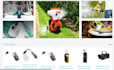 manage wordpress website and product upload