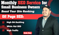 complete SEO solutions for small business owners