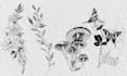 create a unique custom tattoo design hand drawn just for you
