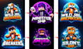 create a custom minecraft server logo and icon