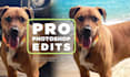 professionally edit your photos and images