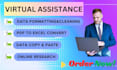 do online research, data typing, and excel data analysis job