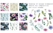 create a flower and plant watercolor pattern