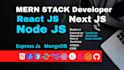 build ai websites and software, business software, full stack developer as mern