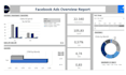 setup profitable facebook and instagram ads campaign