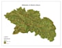 do gis mapping, remote sensing or spatial analysis