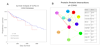do bioinformatics data analysis