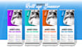 design roll up banner, retractable banner, roller, pull up