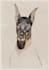 draw you the best pawtrait of your pet