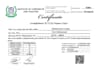 provide tax preparation for US individual and corporate