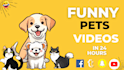 create funny animal videos and pets compilation within 24 hours