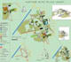 draw professionally map illustration site plan and landscape design