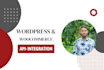 do API integration, API development, wordpress API, woocommerce API, rest API