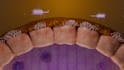 do professional 3d medical animation all fields