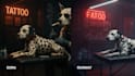 turn your idea ultra realistic videos with sora, runway, veo