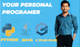 be your python, java, c plus plus expert programmer, do programming projects