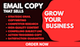 write persuasive email copy for your email marketing campaign