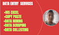do fastest data entry in one day and internet research