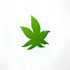 make unique weed, cannabis and marijuana logo design