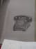 do still object illustration or pencil sketch