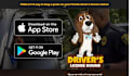 design attractive websites for you