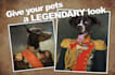 create a photo collage and any photoshop work