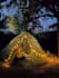 guide to outdoor camping in guangdong, china