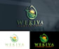 do creative modern professional solar panel cleaning logo