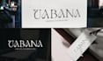 create a professional business logo design