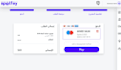 provide a website payment processing system