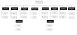create professional ms project gantt chart for any industry