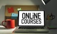 take up your  online course on blackboard and canvas