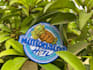 do custom embroidered patches designed digitized and shipped