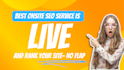 do professional on page SEO for blogs and websites