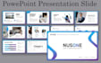 do professional powerpoint presentation services
