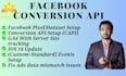fix and set up meta pixel conversions API google analytics  ecommerce tracking