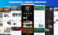 design, develop and maintain your wordpress website