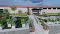 design backyard, frontyard with landscape rendering