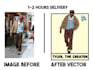 do vector tracing or illustration of anything or image