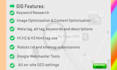 do full on page SEO optimization