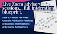provide consultation ai assessment or 45 minute zoom