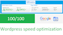 optimize wordpress speed 90 on google pagespeed insights