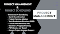 provide  project management services