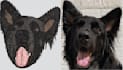 digitize image for embroidery digitizing in a few hours