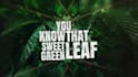 make a best dynamic metal lyric video for your metal song
